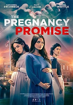 The Pregnancy Promise izle